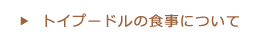 トイプードルの食事
