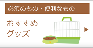 おすすめグッズ