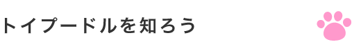 トイプードルを知ろう